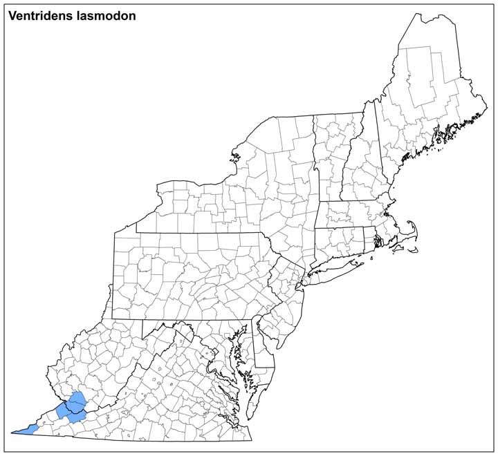 Ventridens lasmodon Range Map